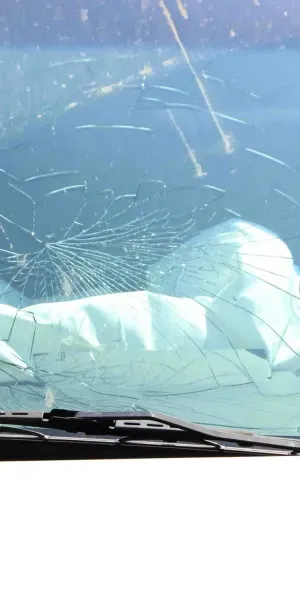 c5e462_14e8f46c95cf4a86874c6c124f73a728mv2