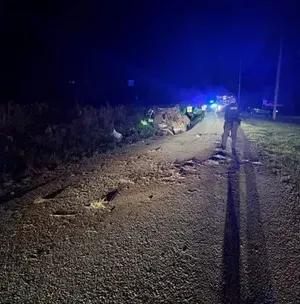 c5e462_995e2d61a09f48e988cb189cc6cbe525mv2