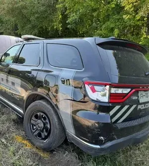 c5e462_f4edf43f86b541f79bf7a81e726b9556mv2