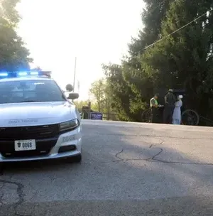 c5e462_0c86e38d9e8d4f9ab2da4c22e738fd67mv2