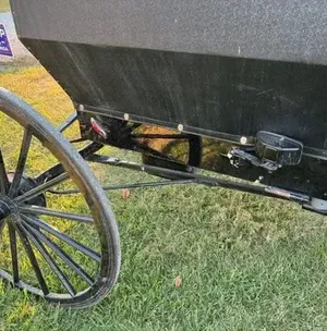 c5e462_1f3bb7a91e3543568d8276d42db6d089mv2