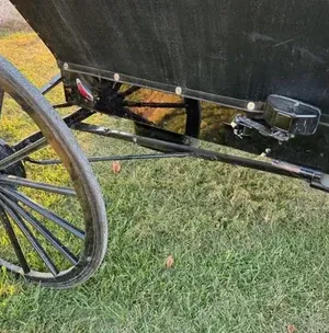 c5e462_915556f12a9f47dc8944c3ca964b057dmv2