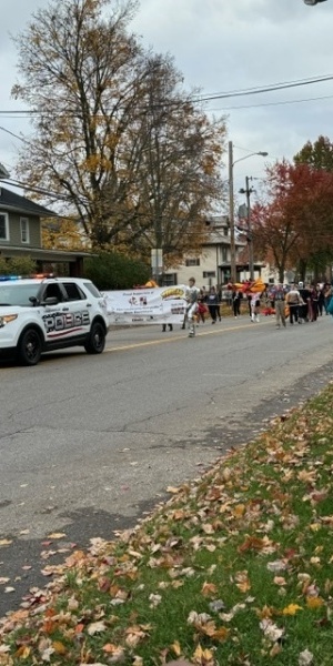 c5e462_5560cf3666e04402a96fee10054bfec5mv2