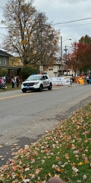 c5e462_c47f7e4f57ce47bc80ac086adf2d026fmv2