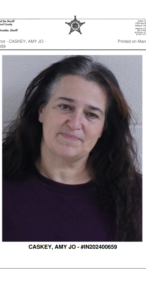 Screenshot-2026-03-16-at-13-08-02-Amy-Caskey-mugshot.pdf