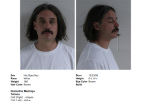 Screenshot-2024-10-04-at-15-57-20-Inmate-Mugshot-1.pdf