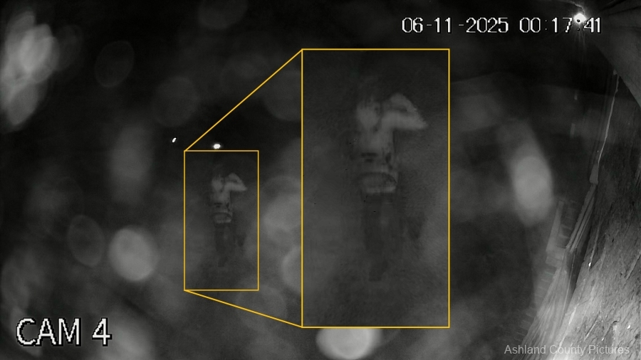 XVR_ch4_main_20250611001729_20250611001753.mp4.00_00_16_3.Still002_Clarified_ROI-copy
