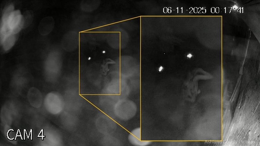 XVR_ch4_main_20250611001729_20250611001753.mp4.00_00_17_3.Still003_Clarified_ROI-copy