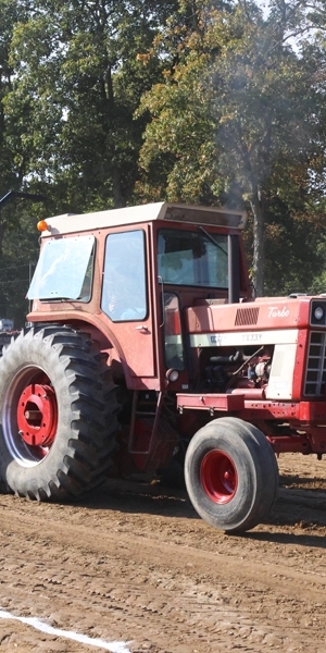 8B6A2555