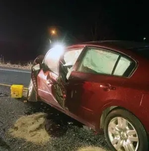 c5e462_1ef7d287033642d3a9b394d876b9c93emv2