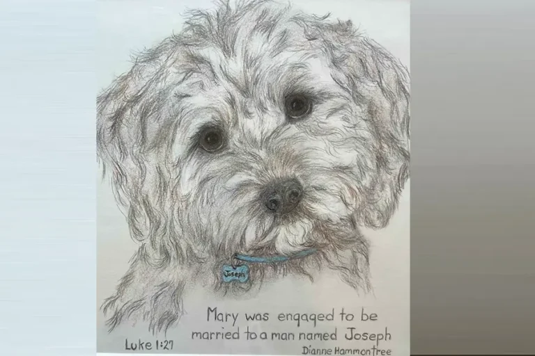 Dianne’s Doghouse “Joseph”