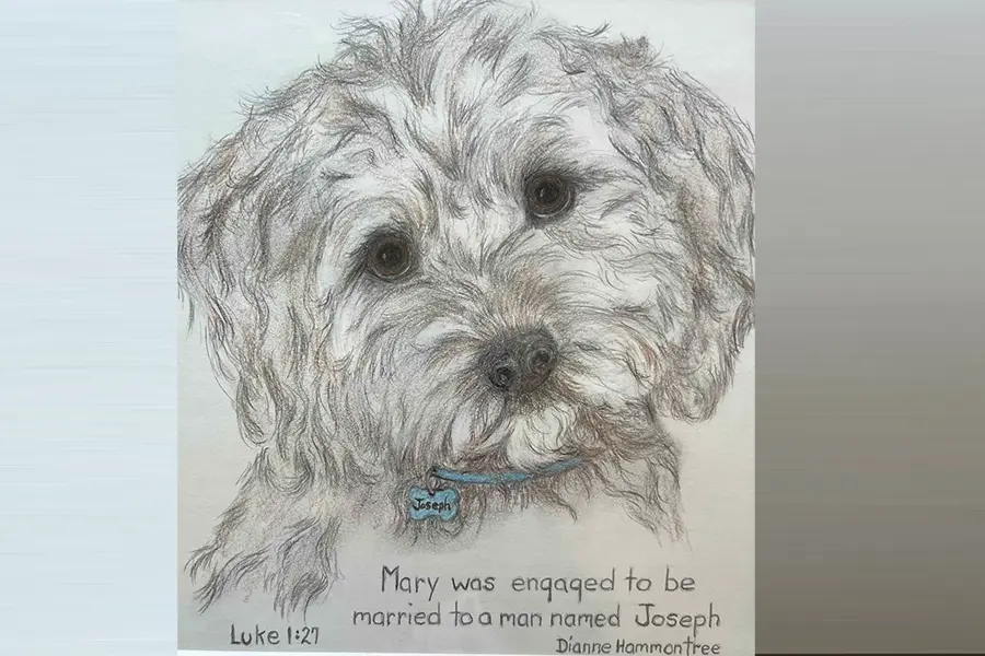 Dianne’s Doghouse “Joseph” Dianne's Doghouse Joseph