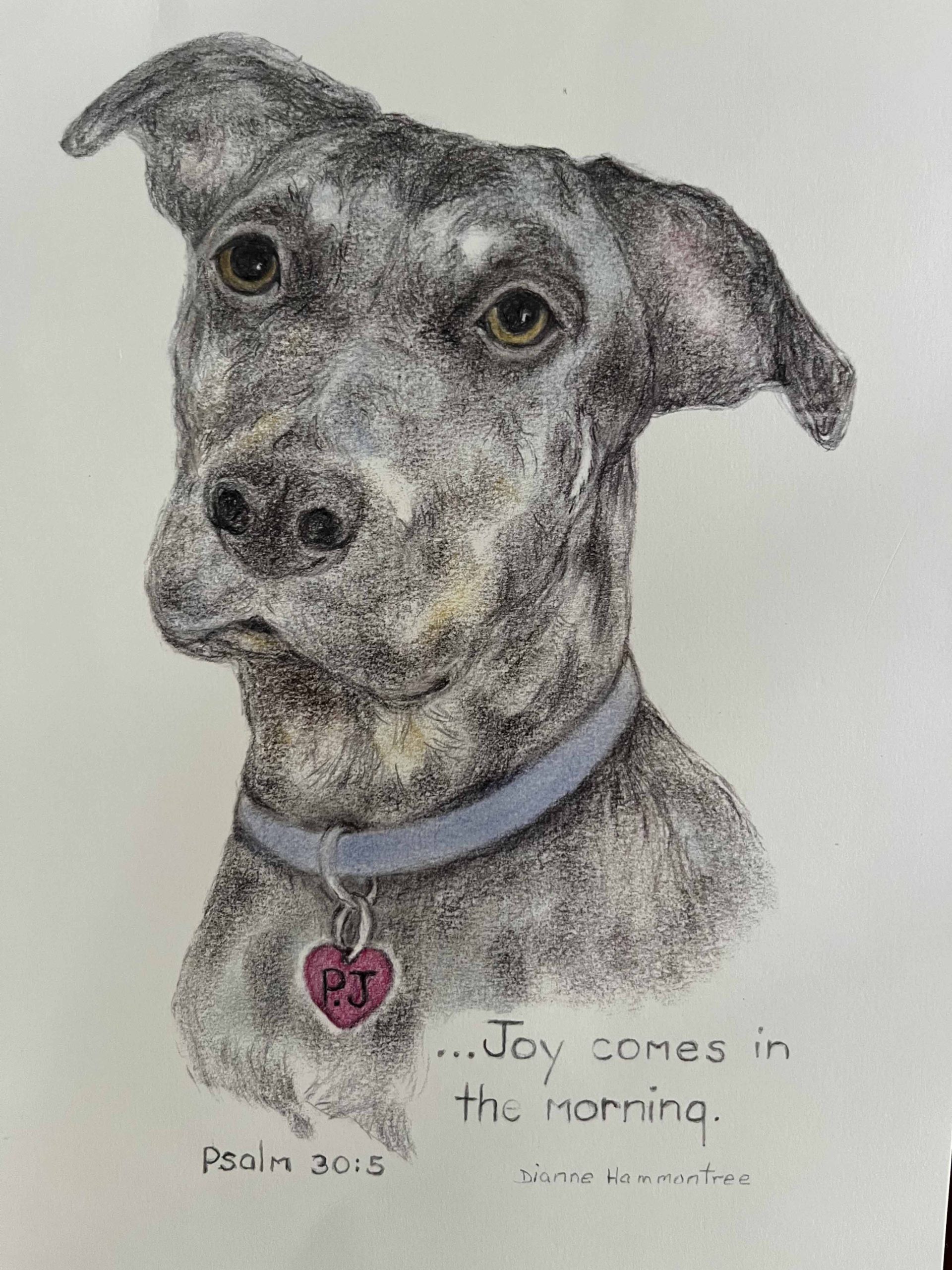 Christmas: A Time To Be Thankful