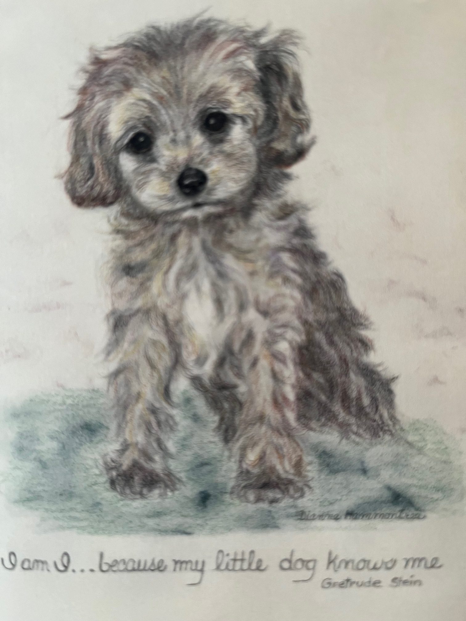 Animals Need Friendships