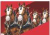 Budweiser Clydesdales Coming to Ashland County Fair — Special Appearance to Support Folds of Honor