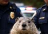 BOLO ISSUED: Nation Melts Down After Groundhog Declares Six More Weeks of Winter